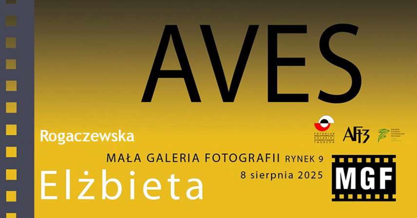 Elżbieta Rogaczewska - Aves