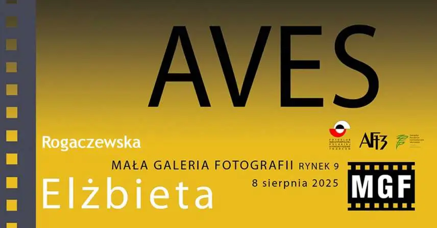 Elżbieta Rogaczewska - Aves