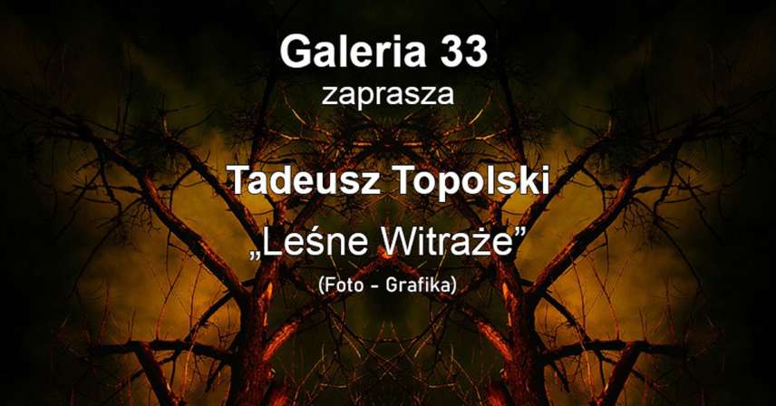 Tadeusz Topolski - Leśne Witraże